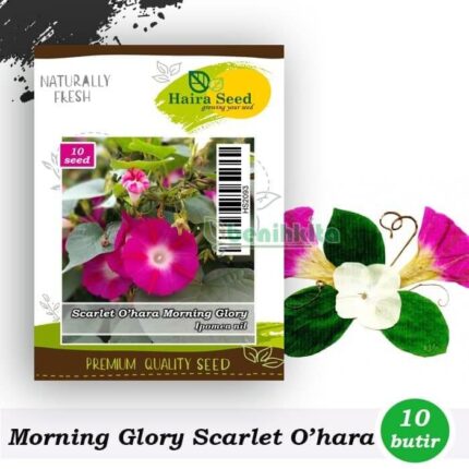 Bunga Morning Glory Scarlet O'hara