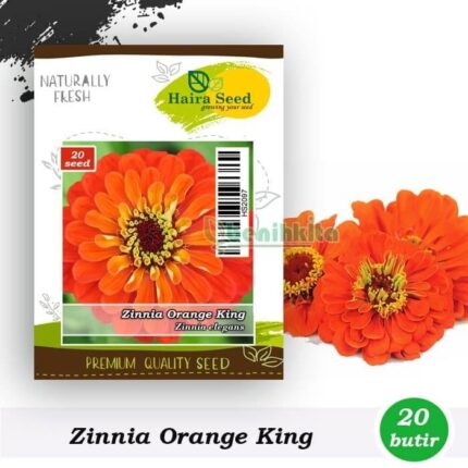 Bunga Zinnia Orange King