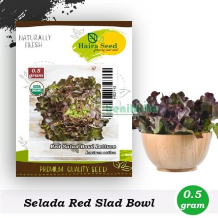 Benih Selada Keriting Merah Red Salad Bowl