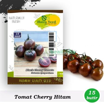Tomat Black Cherry