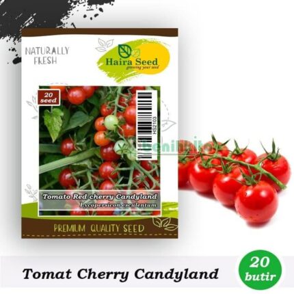 Tomat Red Cherry