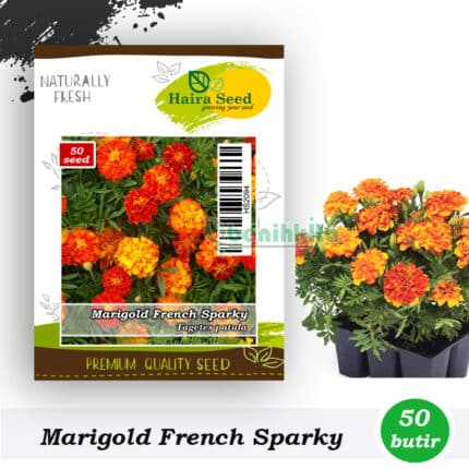 Bunga Marigold Sparky French
