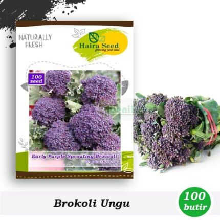 benih brokoli ungu