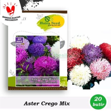 Bunga Aster Crego Mix