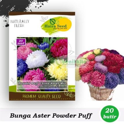 Benih Bunga Aster Powder Puff Mix