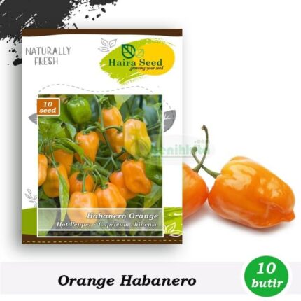 Benih Cabe Orange Habanero