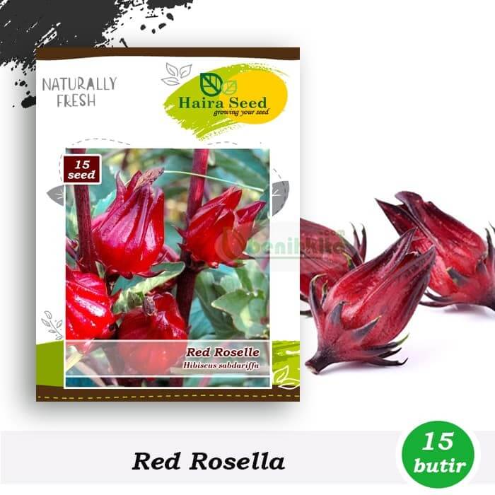 Rosella Merah