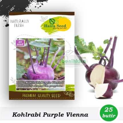 Kohlrabi Purple Vienna