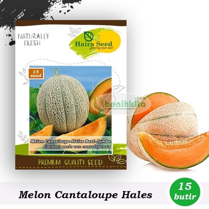 Benih Melon Cantaloupe Hales Best Jumbo