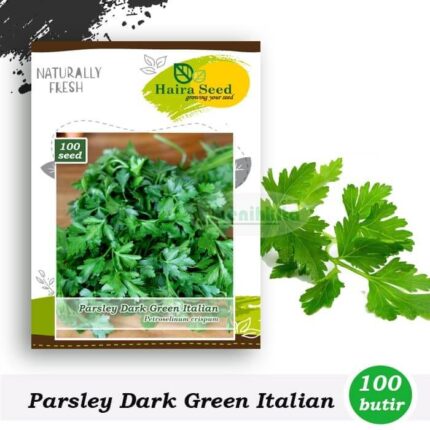 Parsley Dark Green Italian