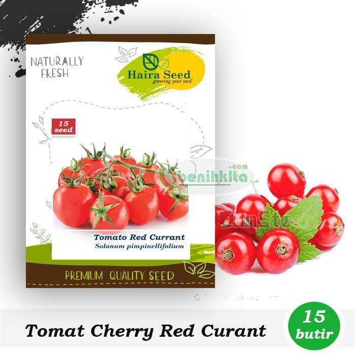 Benih Tomat Cherry Red Currant