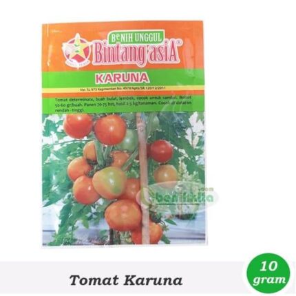 Tomat sayur karuna