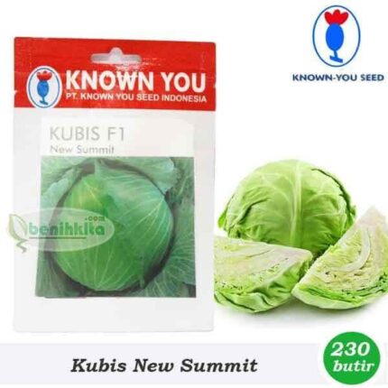Kol New Summit
