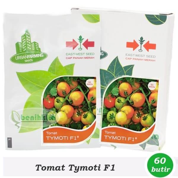 Benih Tomat Sayur Tymoti
