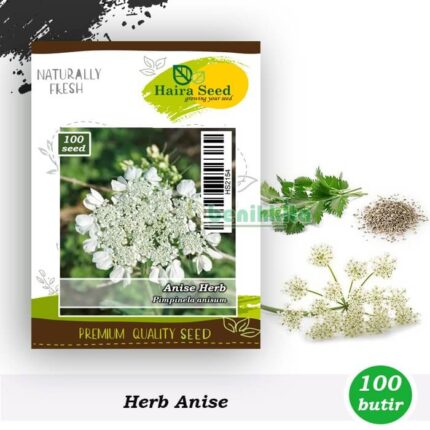 Herb Anise haira seed