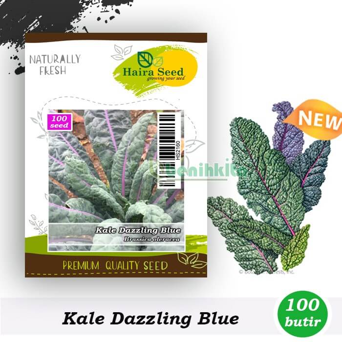 Kale Dazzling Blue