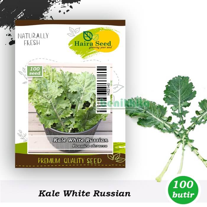 Kale White Russian Haira Seed
