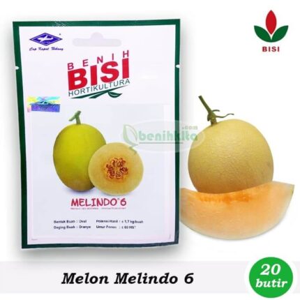 Benih Melon Golden Melindo