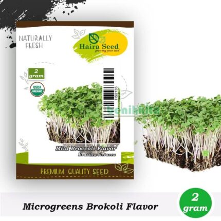 Microgreen Brokoli Mild Flavor Organik haira seed
