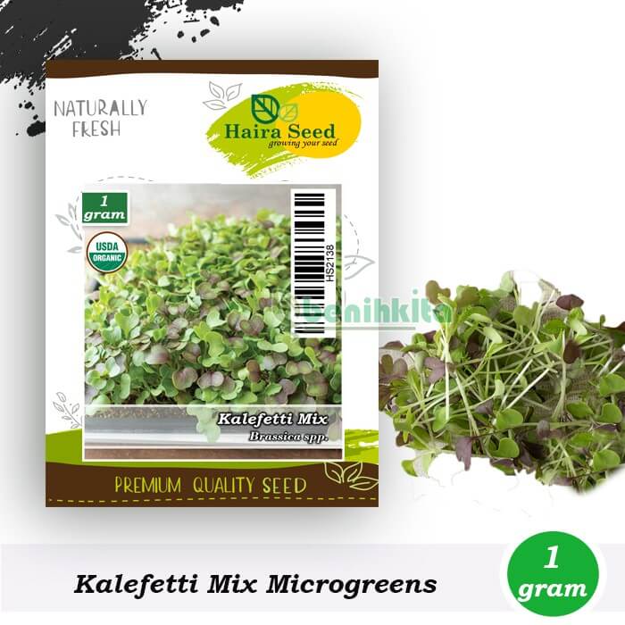 Microgreen Kalefetti Mix Organik