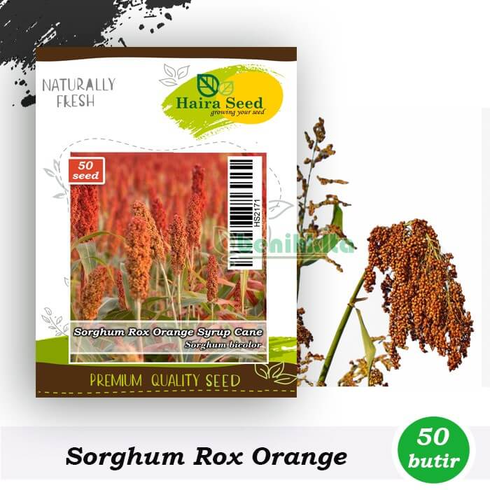 Sorghum Rox Orange Syrup Cane