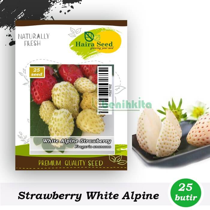 Strawberry White Alpine Haira Seed