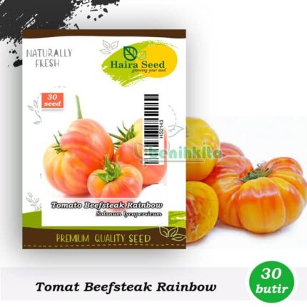 Tomat beefsteak rainbow haira seed