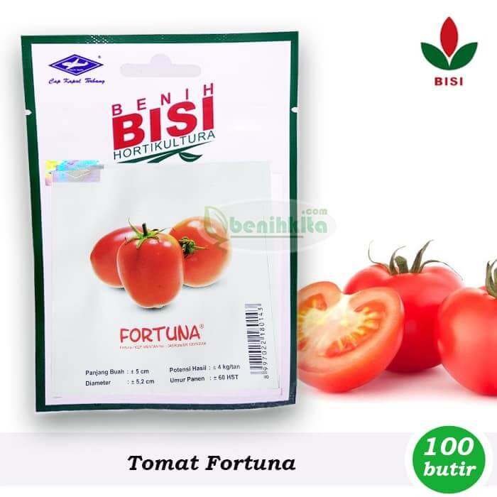 Benih Tomat Fortuna