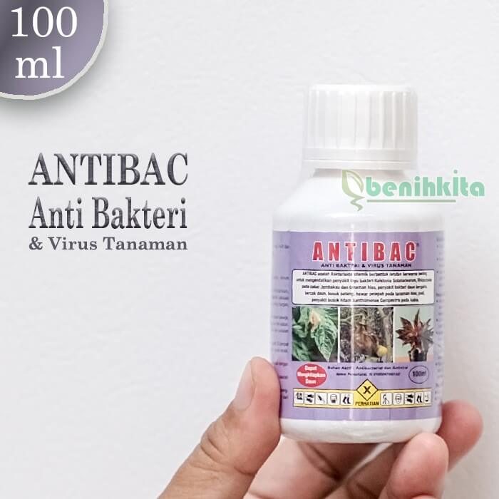 Antibac 100Ml