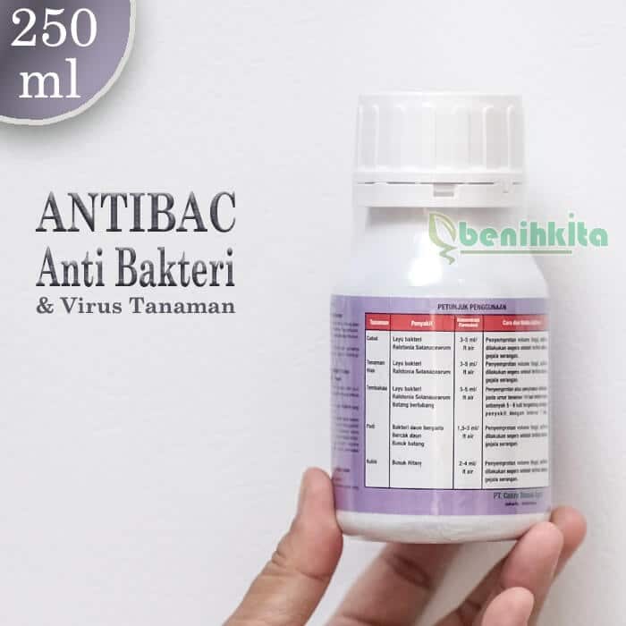 Antibac 250Ml 1