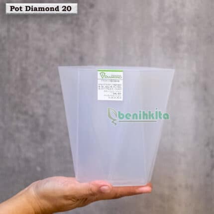 Pot Tanaman-Bunga Warna Diamond 20 (Tabitha)