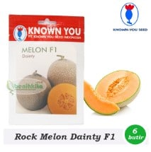 Rock Melon Dainity