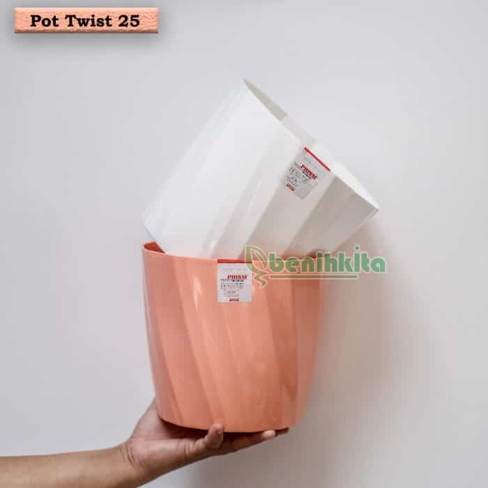 Pot Tanaman-Bunga Warna Prisma Twist Flower 25 (Tabitha)