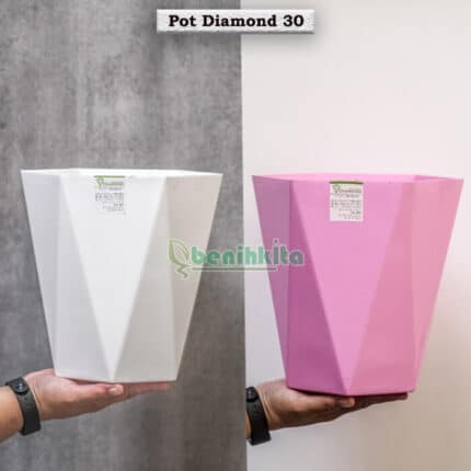 Pot Tanaman-Bunga Warna Diamond 30 (Tabitha)