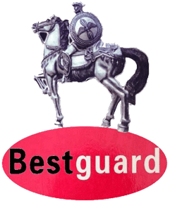 Best Guard