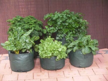 vegetable planter