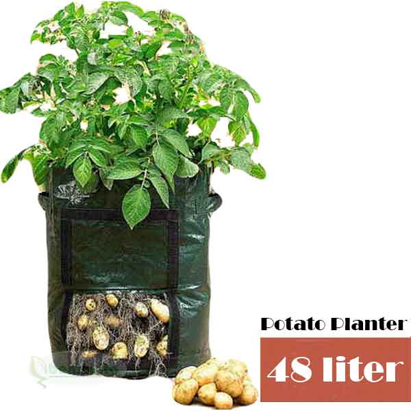 Umbi Planter