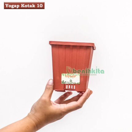 yogap-10-Kotak-Cokleat