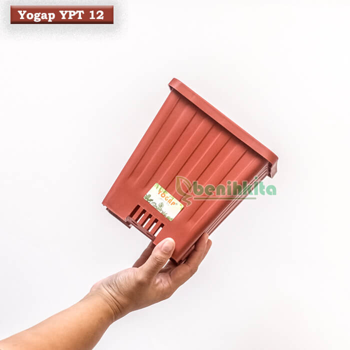 Yogap 12 Kotak Cokelat 2