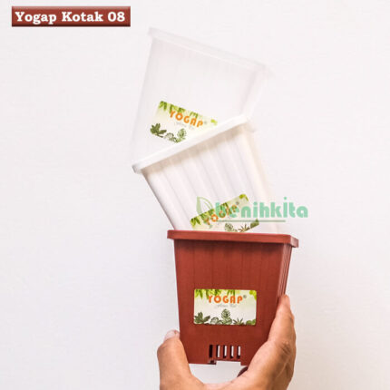 Pot Bunga Yogap Kotak 8